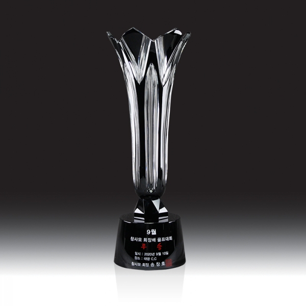 골프 트로피 HB-9292