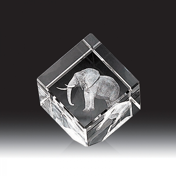 3D레이저 문진 HB-3611