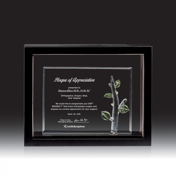 크리스탈 상패 HB-6049