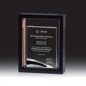 크리스탈 감사패/공로패 HB-7029