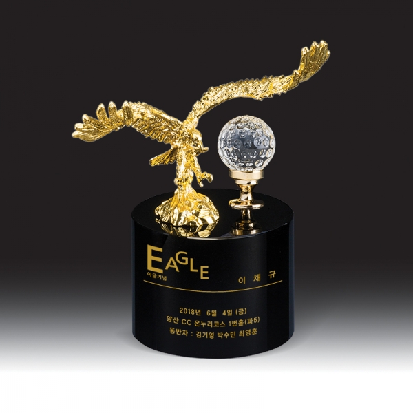 골프 트로피 HB-9241